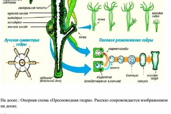 Кракен современный даркнет маркет плейс