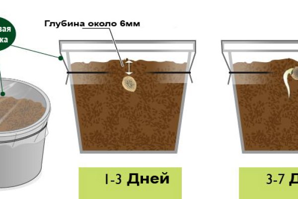 Заказать даркнет